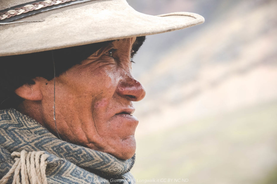 Un pastore della cordillera peruviana