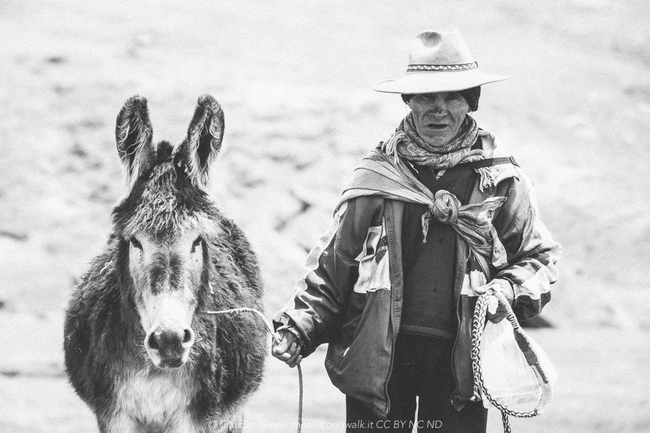 Don Cirillo il pastore peruviano di lama