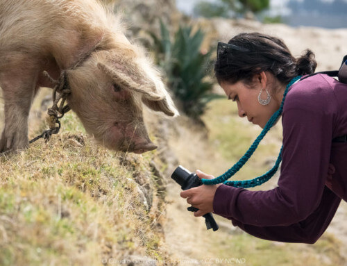 Huaraz e il cuore delle Ande