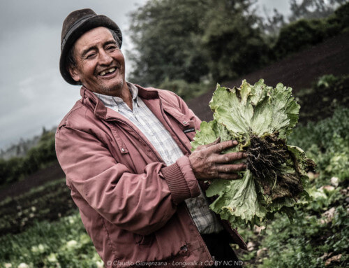 Viaggiare da Soli e Mangiare sano – Consigli alimentari per Nomadi
