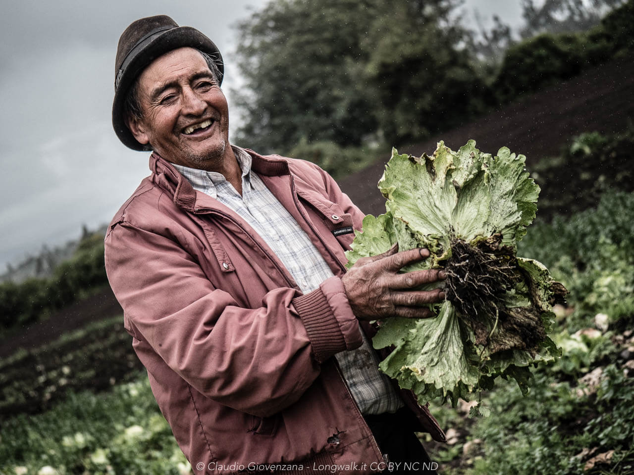Viaggiare da soli e mangiare naturale